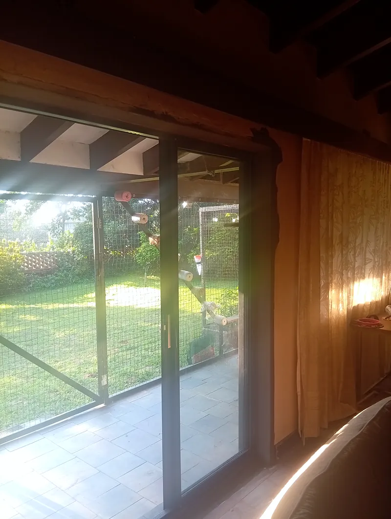 Bronze aluminium sliding doors in a timber-ceilinged lounge